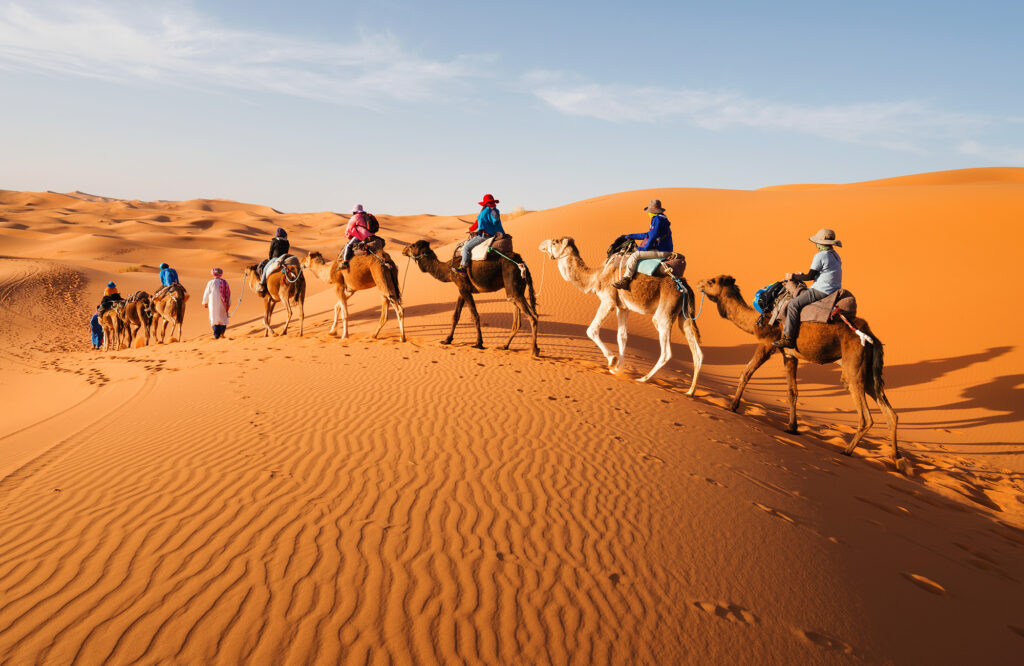 tangier to marrakech, camel ride in merzouga